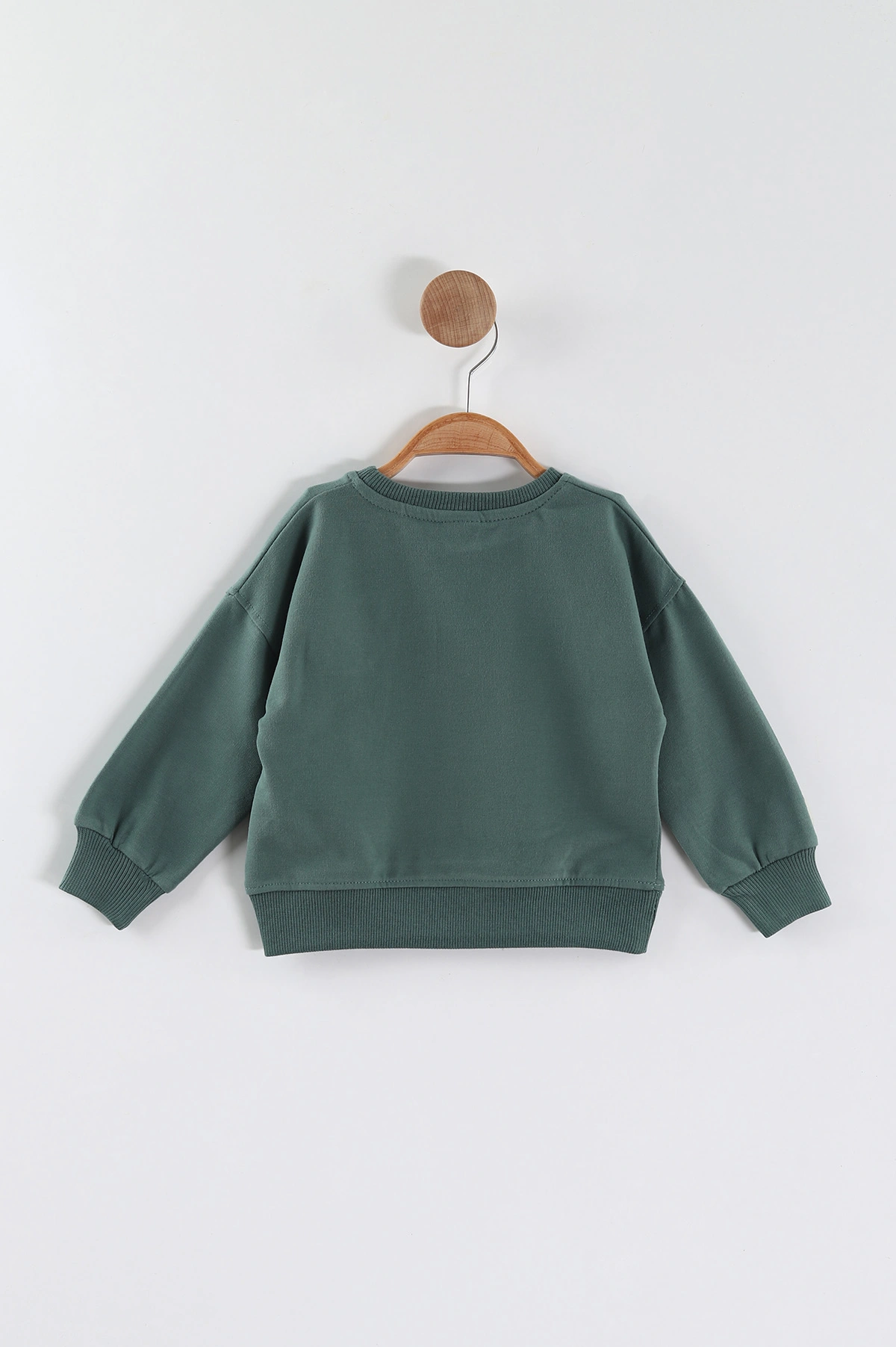 Yeşil (1-4 Yaş)Süzene Nakışlı Baskılı Erkek Çocuk Sweatshirt 432904