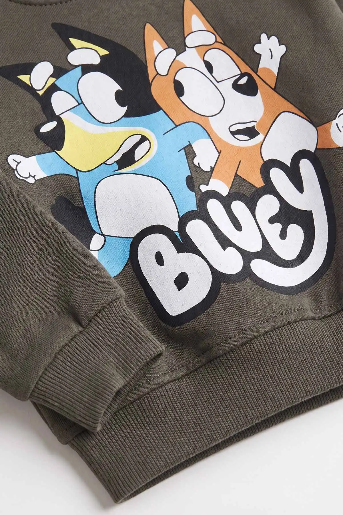 Yeşil (1-5 Yaş) Bluey  Baskılı 3 İp Şardonlu Erkek Çocuk Kışlık Takım 487773