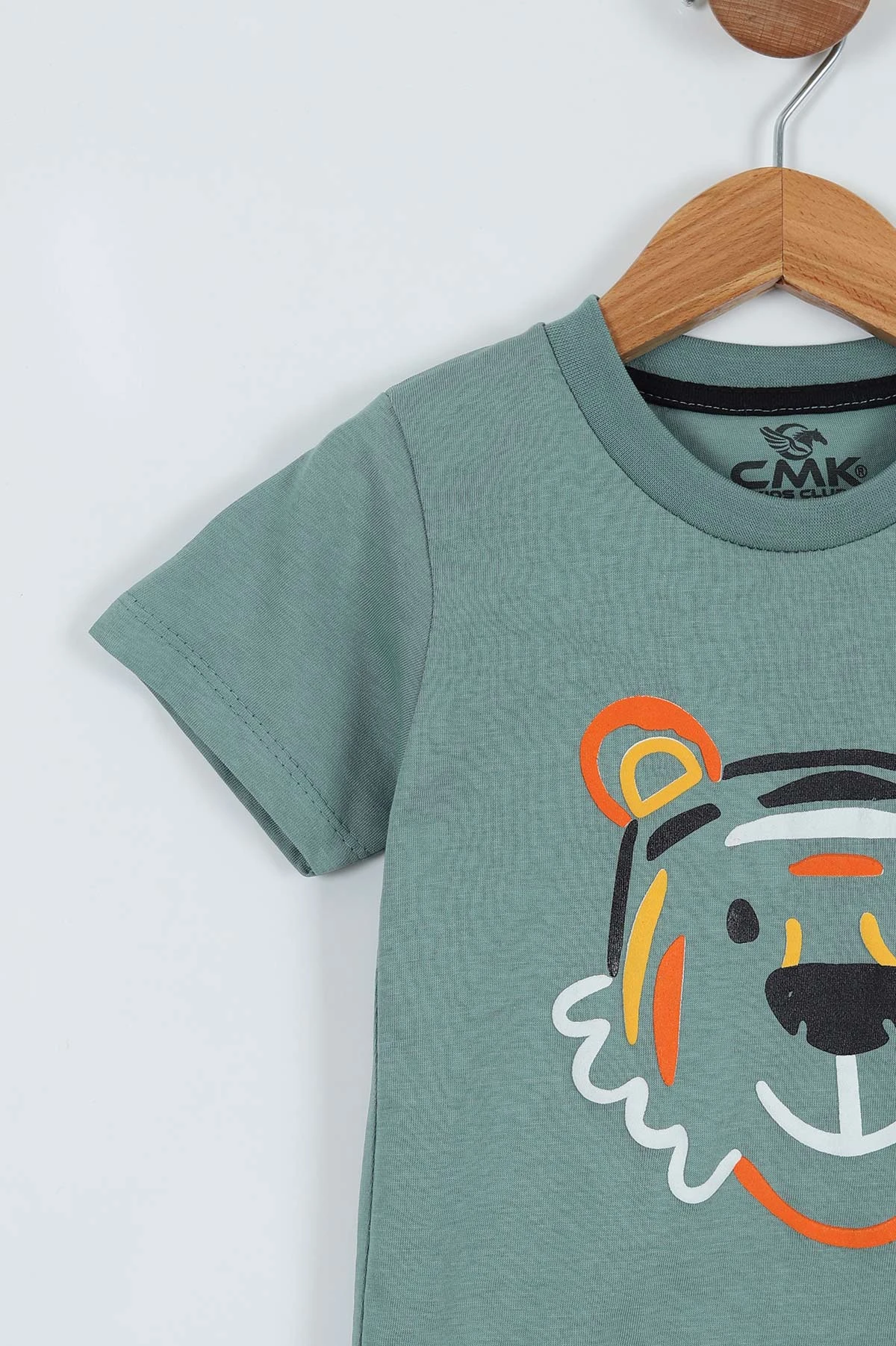 Yeşil (2-11 Yaş) Baskılı Erkek Çocuk Tişört 271376