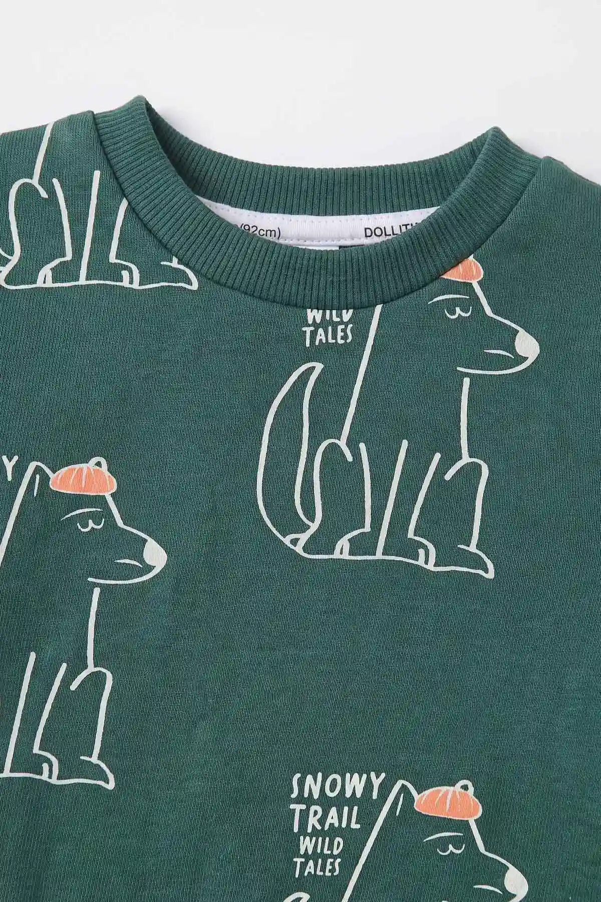 Yeşil (2-6 Yaş) Köpek Baskılı İki İp Erkek Çocuk Mevsimlik Takım 478238