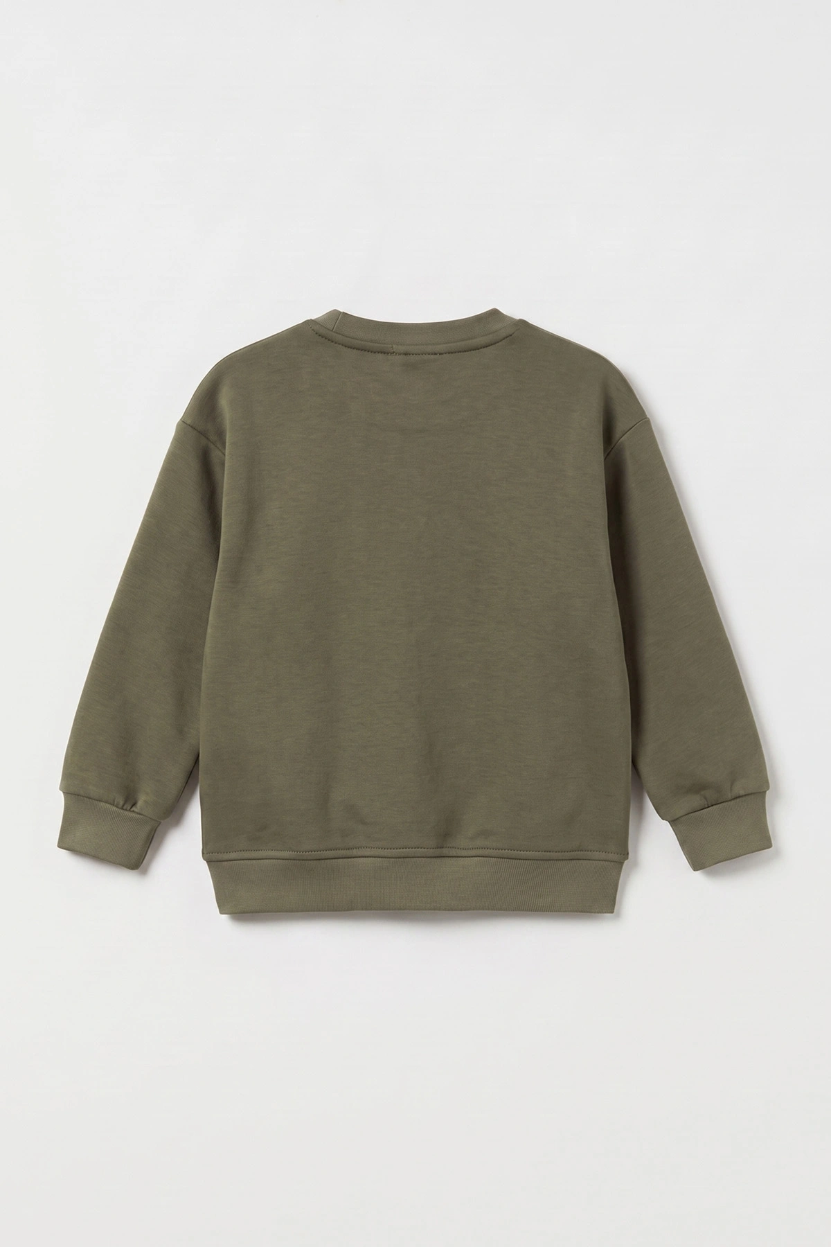Yeşil (3-12 Yaş) Aslan Baskılı Şardonlu 3 İp Erkek Çocuk Sweatshirt 484131