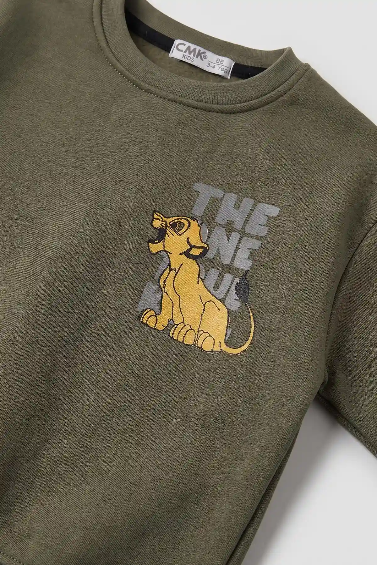 Yeşil (3-12 Yaş) Aslan Baskılı Şardonlu 3 İp Erkek Çocuk Sweatshirt 484131