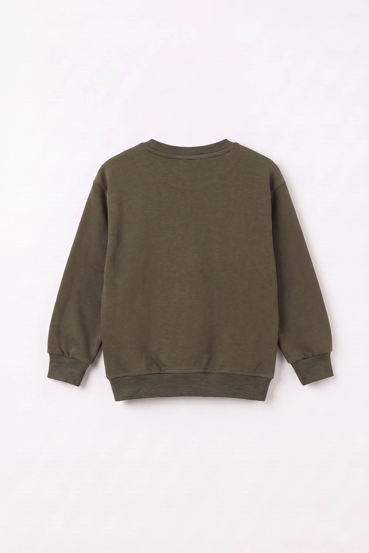 Yeşil (3-12 Yaş) Dino Baskılı 3 İp Şardonlu Erkek  Çocuk Sweatshirt 483907