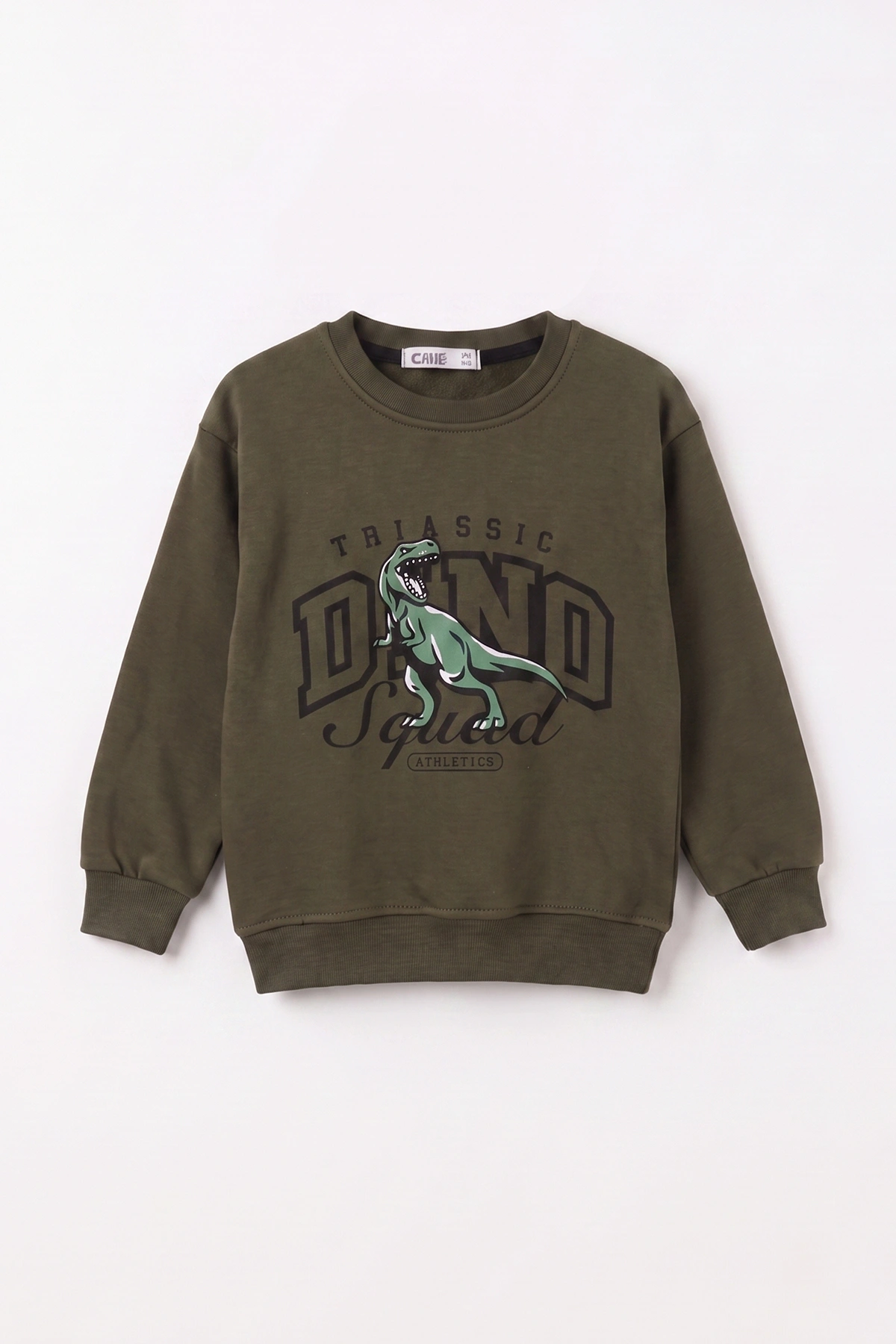 Yeşil (3-12 Yaş) Dino Baskılı 3 İp Şardonlu Erkek  Çocuk Sweatshirt 483907