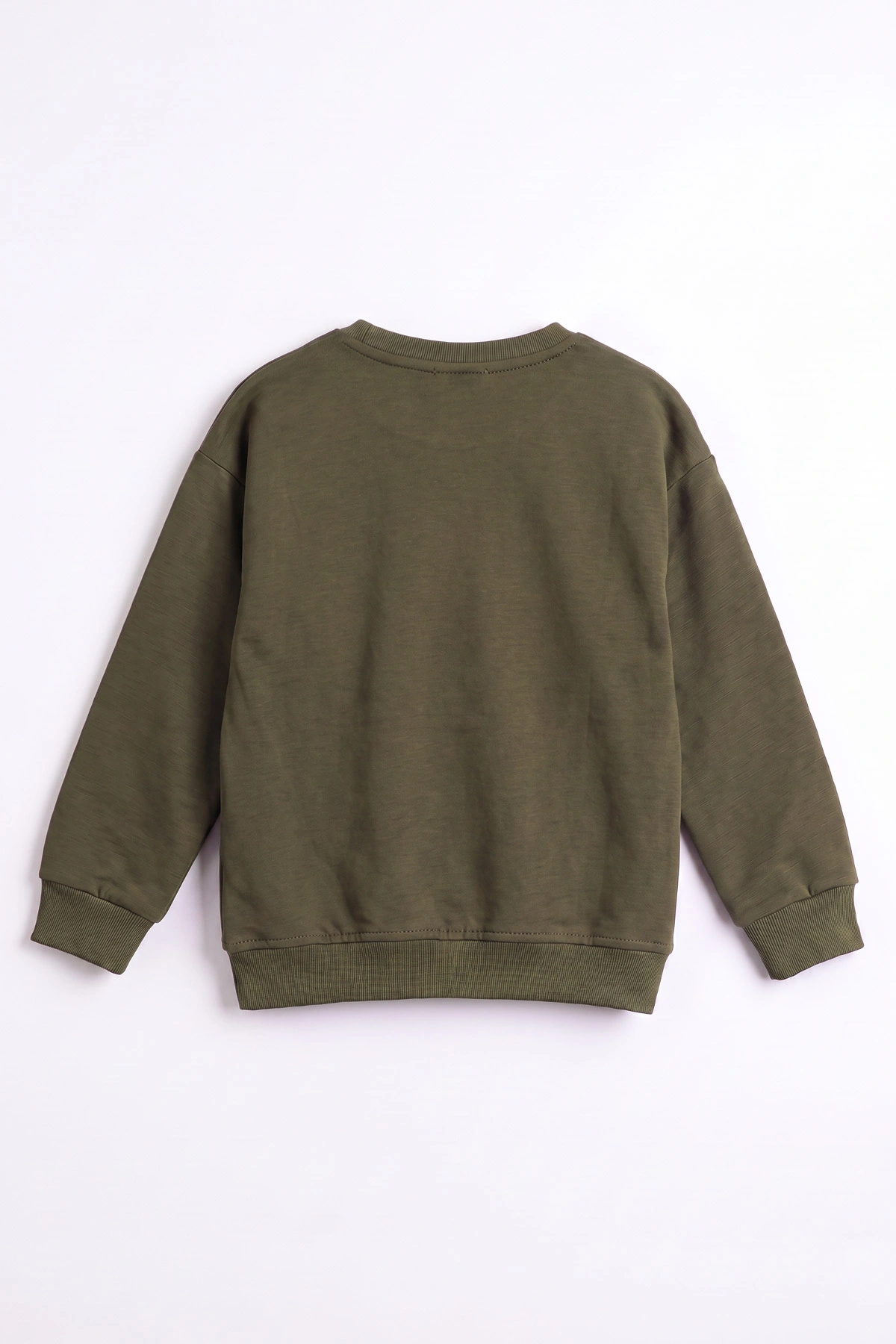 Yeşil (3-12 Yaş) Dont Give Baskılı Erkek Çocuk Sweatshirt 479166