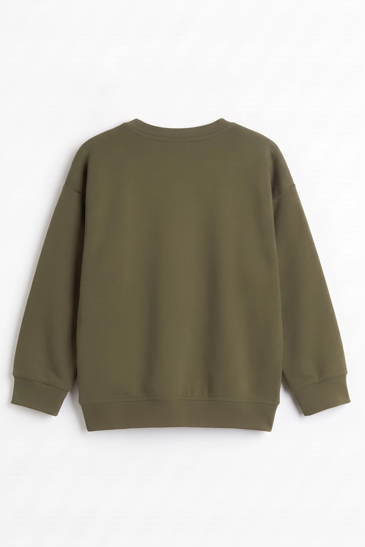 Yeşil (3-12 Yaş) Yazı Baskılı Erkek Çocuk Sweatshirt 478990