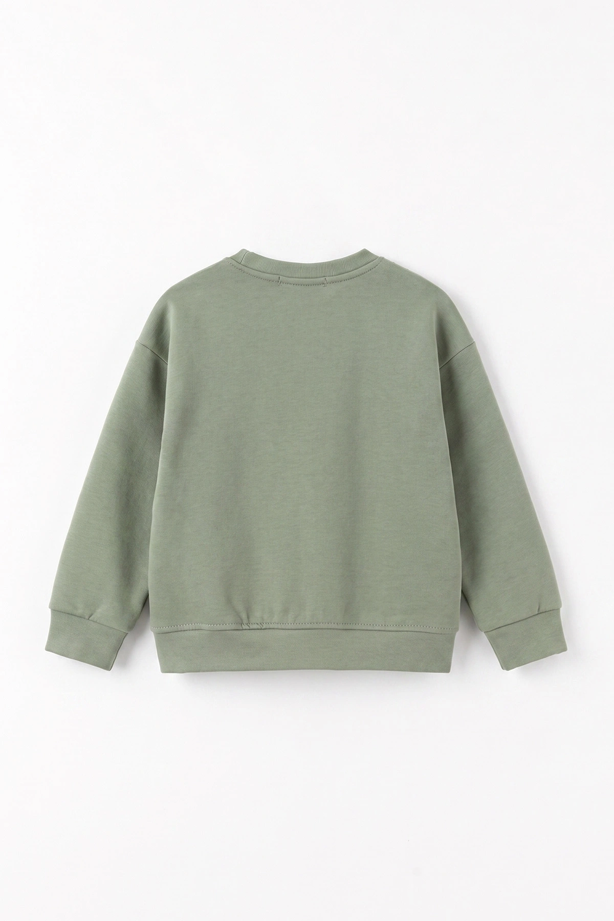 Yeşil (3-12 Yaş) Yazı Nakışlı Erkek Çocuk Sweatshirt 473817