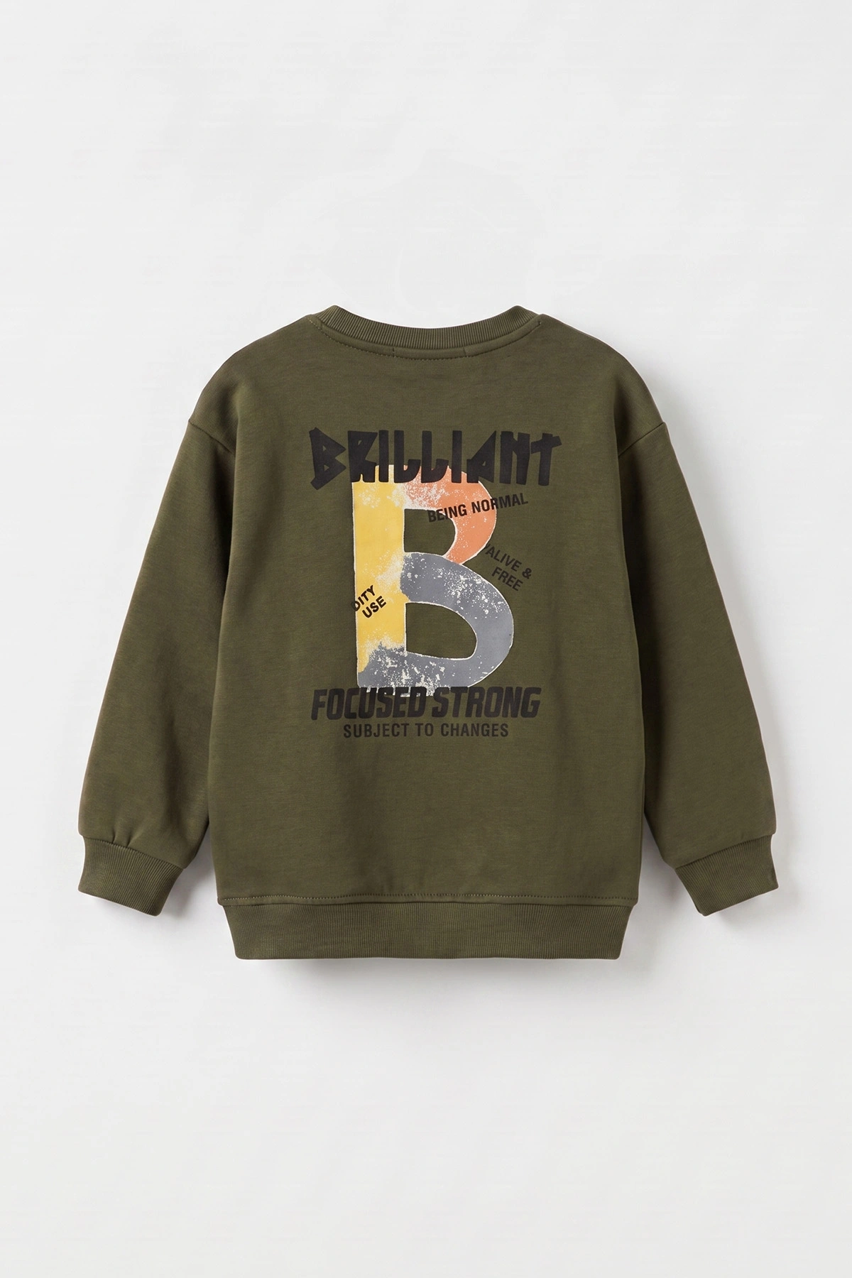 Yeşil (3-12 Yaş)Baskılı 2 İp Erkek Çocuk Sweatshirt 484122