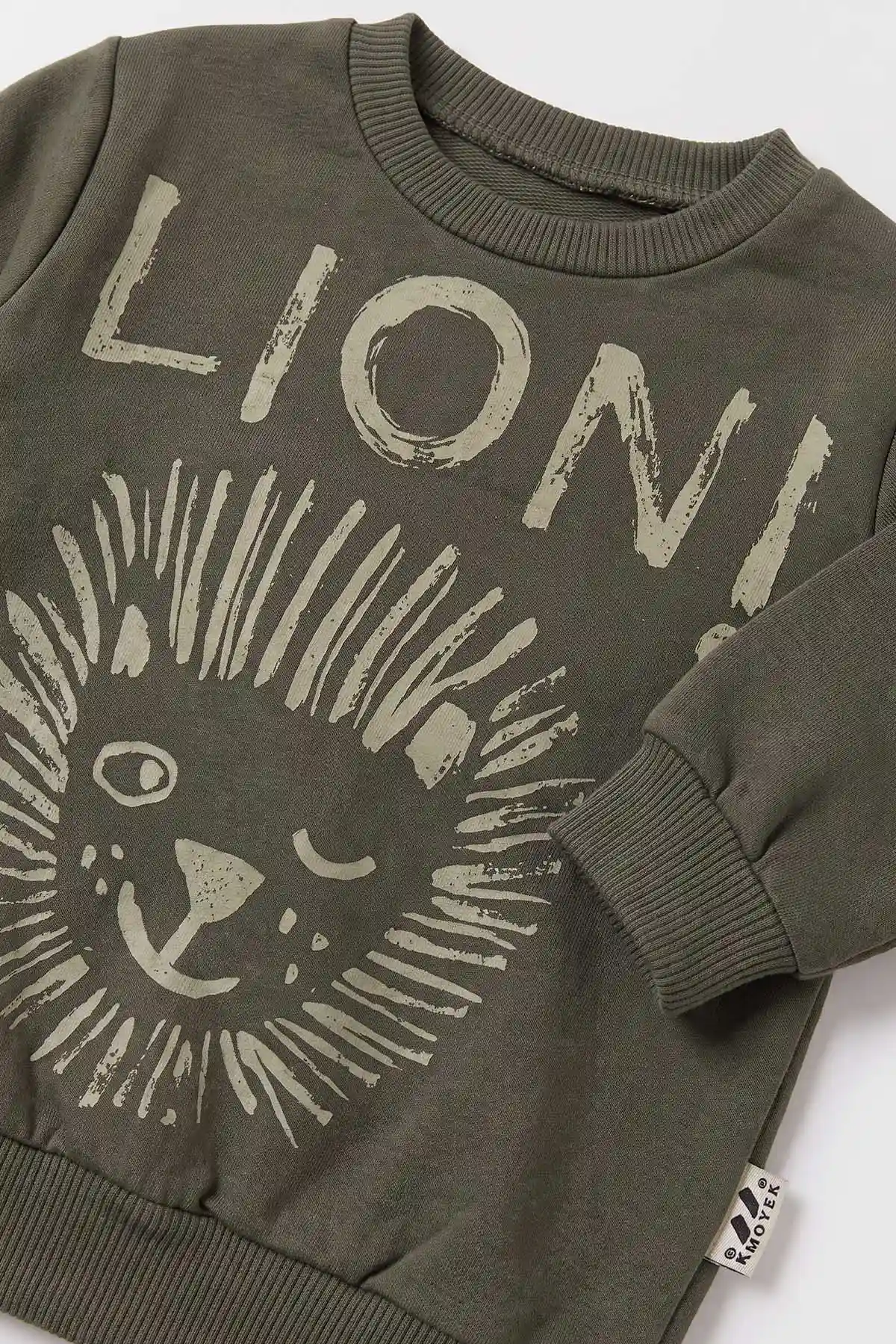 Yeşil (3-18 Ay) Lion  Baskılı 2 İp Erkek Bebek Mevsimlik Takım 481161