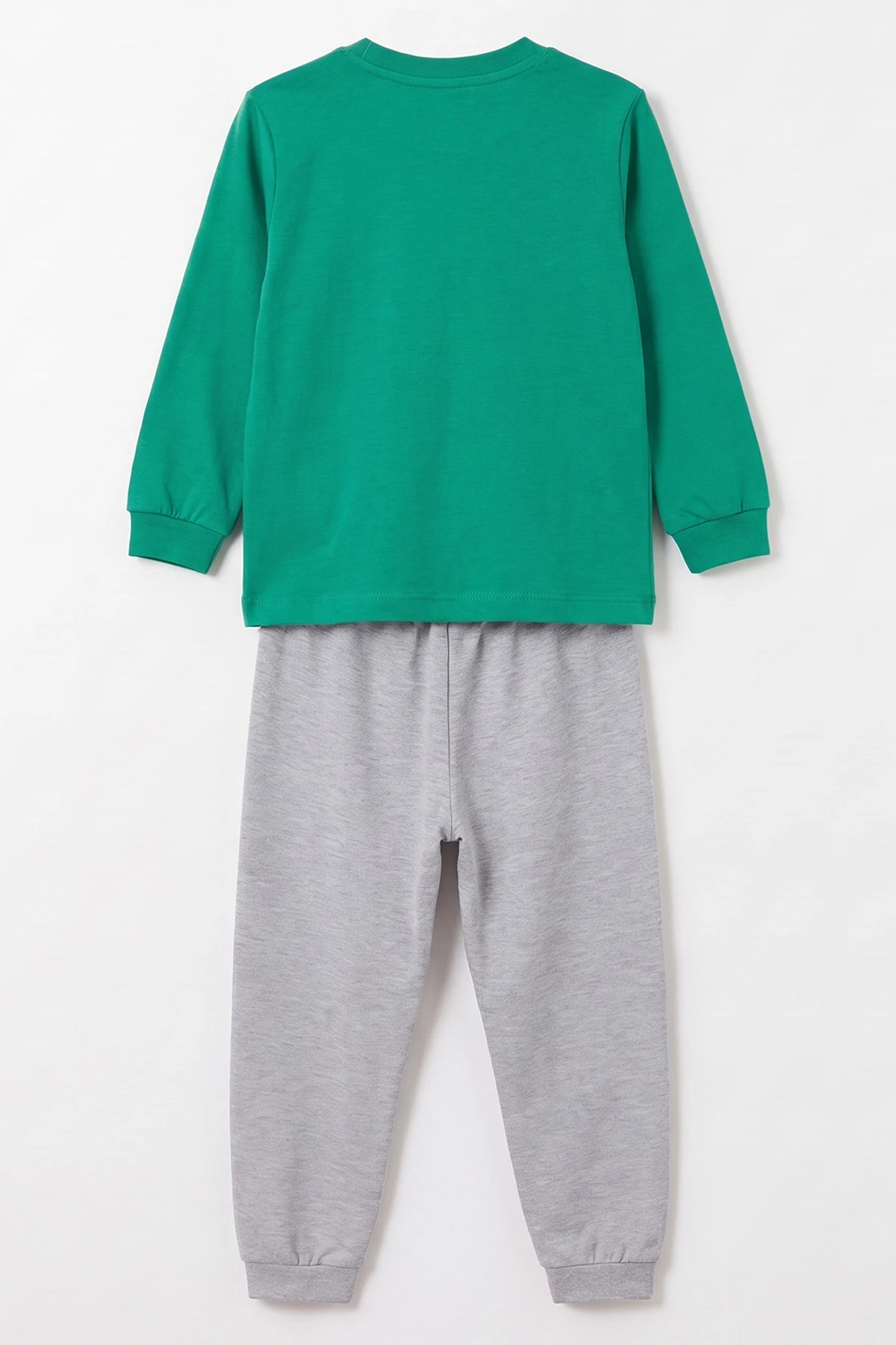 Yeşil (3-8 Yaş) Karakter Baskılı İnterlok Kumaş Erkek Çocuk Pijama Takım 491032