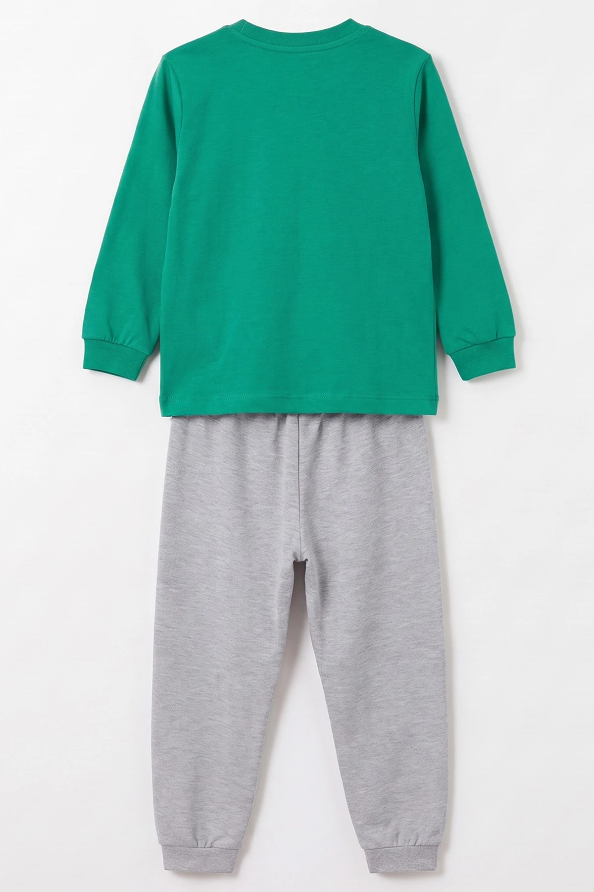 Yeşil (3-8 Yaş) Karakter Baskılı İnterlok Kumaş Erkek Çocuk Pijama Takım 491038