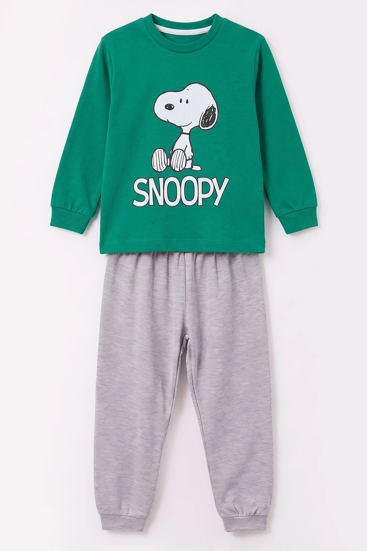 Yeşil (3-8 Yaş) Karakter Baskılı İnterlok Kumaş Erkek Çocuk Pijama Takım 491038