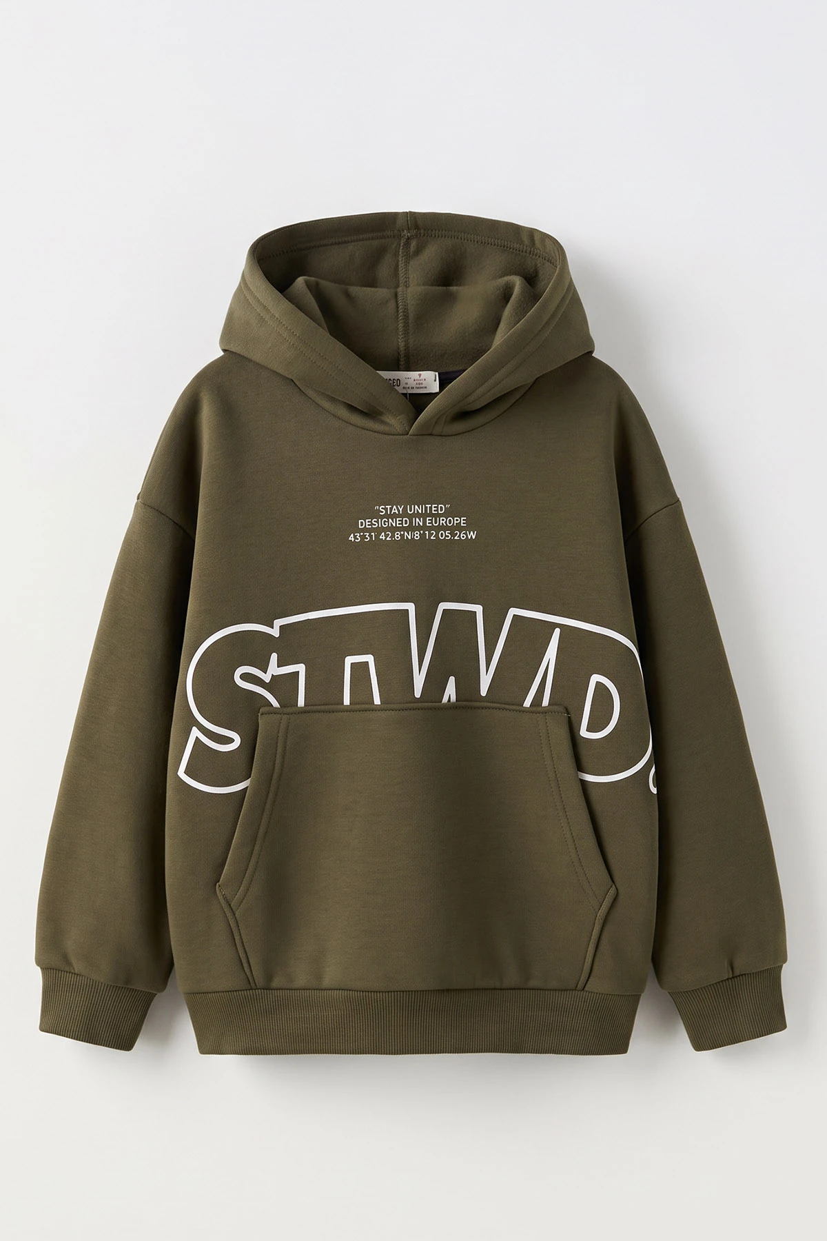 Yeşil (9-16 Yaş) Kapüşonlu İçi Şardonlu Erkek Çocuk Sweatshirt 500309