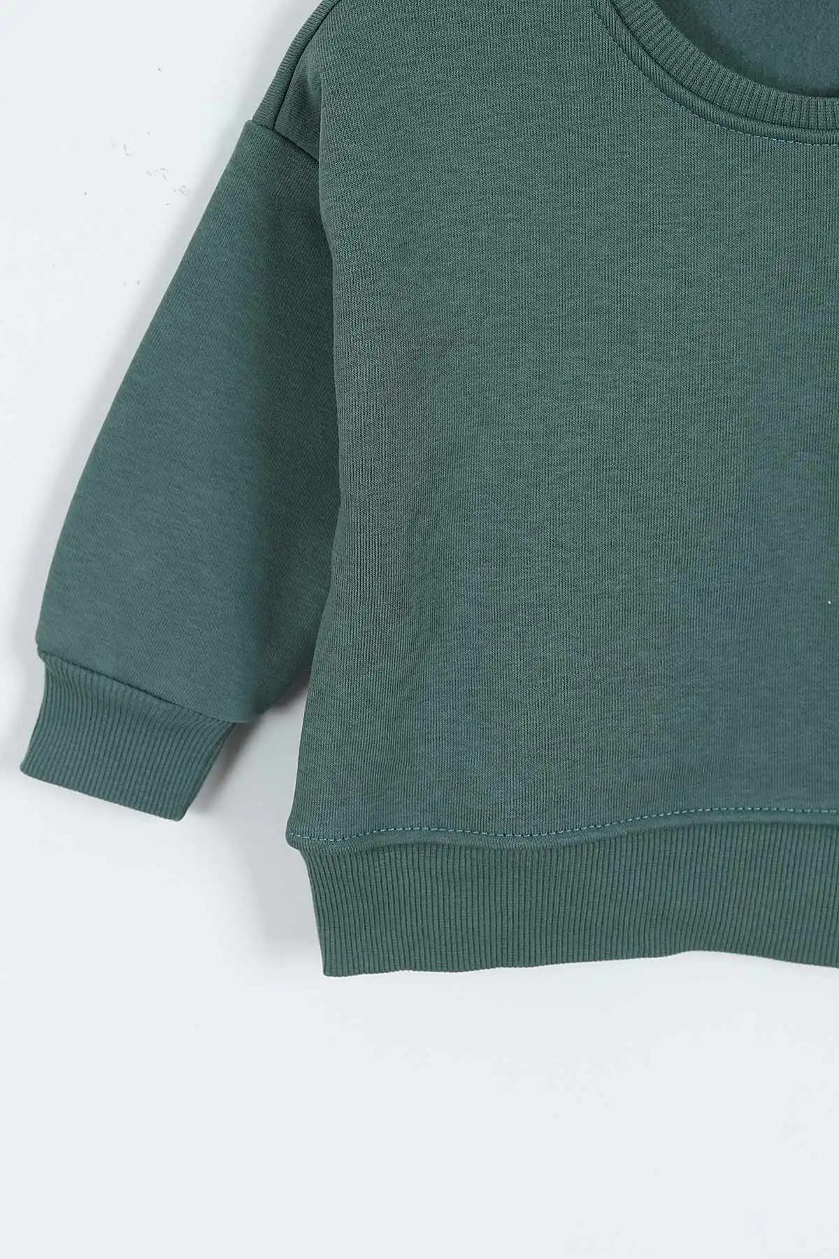 Zümrüt Yeşili (0-4 Yaş)Rawr Baskılı  3  İp Şardonlu Erkek Çocuk Sweatshirt 415033
