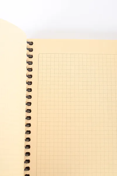 17x24 Tokaç Kraft Kapak Lazer Kesim 100 Yaprak Kareli Defter 392079
