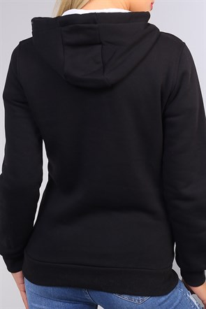 Bayan Polar 4502B