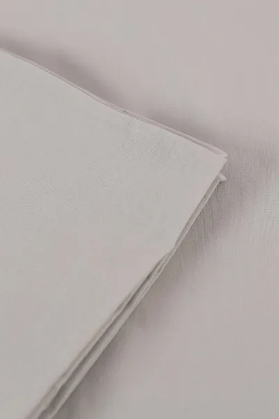 Açık Gri 50x70 Cm Bella Home Jelatinde Kapaklı 2'li Yastık Kılıfı 412676