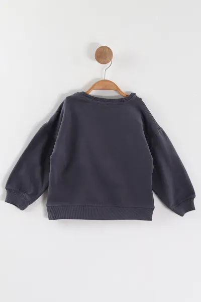 Antrasit (1-4 Yaş)Ayıcık Aksesuarlı Erkek Çocuk Sweatshirt 432823