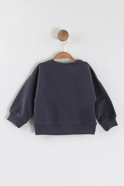 Antrasit (1-4 Yaş)Baskılı Cepli Erkek Çocuk Sweatshirt 432839