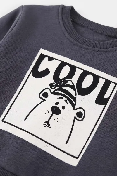 Antrasit (1-4 Yaş)Cool Ayıcık Baskılı  3 İp Şardonlu Erkek Çocuk&Bebek Kışlık Takım 489451