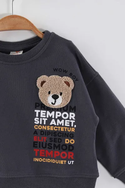 Antrasit (1-4 Yaş)Süzene Nakışlı Baskılı Erkek Çocuk Sweatshirt 432905