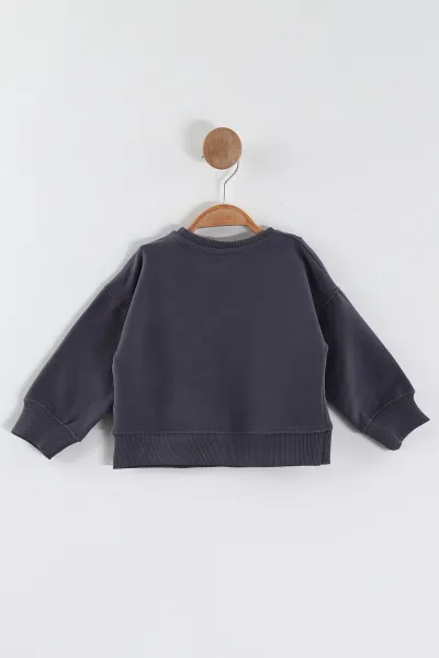 Antrasit (1-4 Yaş)Süzene Nakışlı Baskılı Erkek Çocuk Sweatshirt 432905
