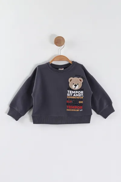 Antrasit (1-4 Yaş)Süzene Nakışlı Baskılı Erkek Çocuk Sweatshirt 432905
