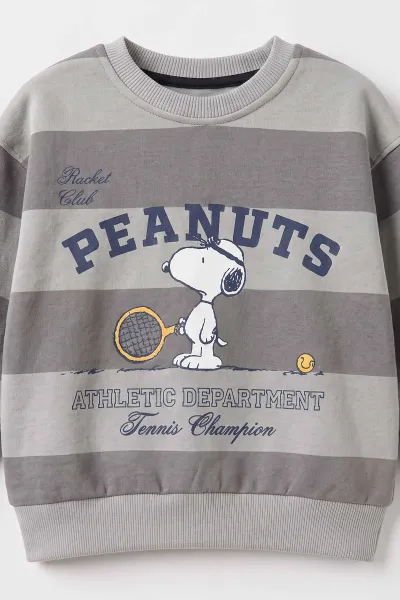 Antrasit (2-5 Yaş) Peanuts Baskılı Çimalı İçi Şardonlu Erkek Çocuk Takım 498739