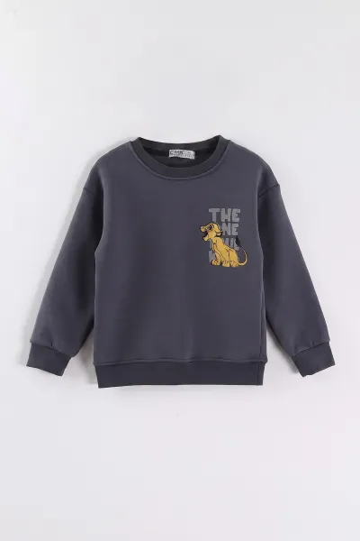 antrasit-3-12-yas-aslan-baskili-sardonlu-3-ip-erkek-cocuk-sweatshirt-473921