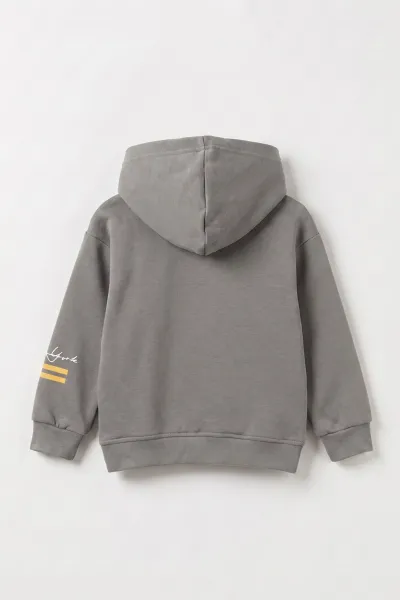 Antrasit (3-12 Yaş) Baskılı 3 İp Şardonlu Kapüşonlu Erkek Çocuk Sweatshirt 473838