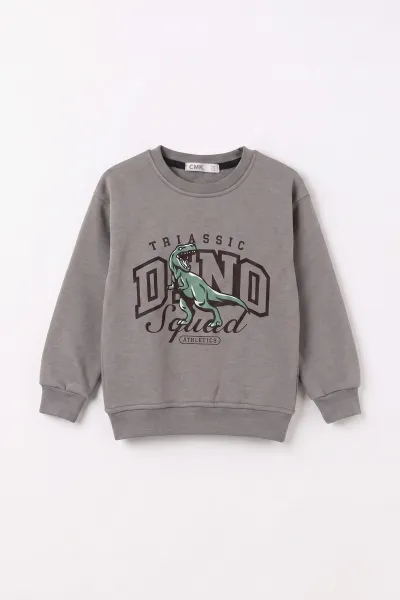 Antrasit (3-12 Yaş) Dino Baskılı 3 İp Şardonlu Erkek Çocuk Sweatshirt 483908
