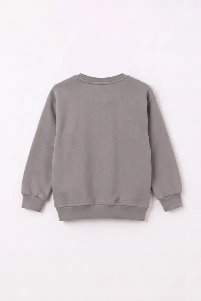 Antrasit (3-12 Yaş) Dino Baskılı 3 İp Şardonlu Erkek Çocuk Sweatshirt 483908