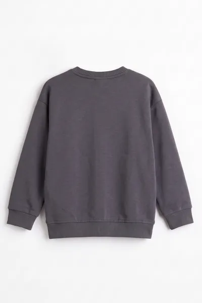Antrasit (3-12 Yaş) Yazı Baskılı Erkek Çocuk Sweatshirt 478991