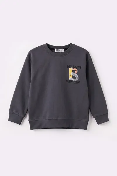 Antrasit (3-12 Yaş)Baskılı 2 İp Erkek Çocuk Sweatshirt 484123