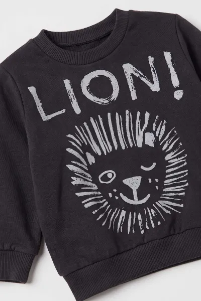 Antrasit (3-18 Ay) Lion  Baskılı 2 İp Erkek Bebek Mevsimlik Takım 481162