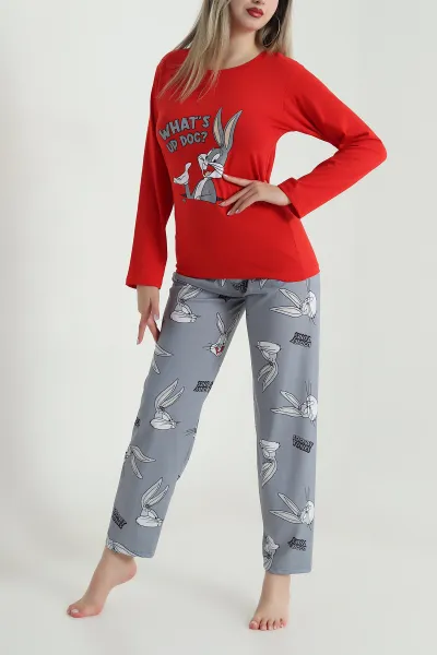 Antrasit Baskılı Kadın Pijama Takımı 488222