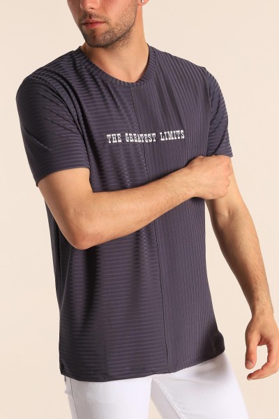 Antrasit Regular Fit Çizgi Dokulu Erkek Tişört 182313