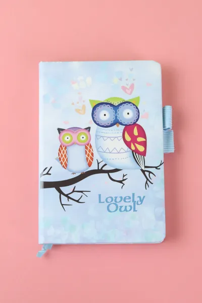 bebe-mavisi-11x16-cm-baykus-desenli-bloknot-not-defteri-291070