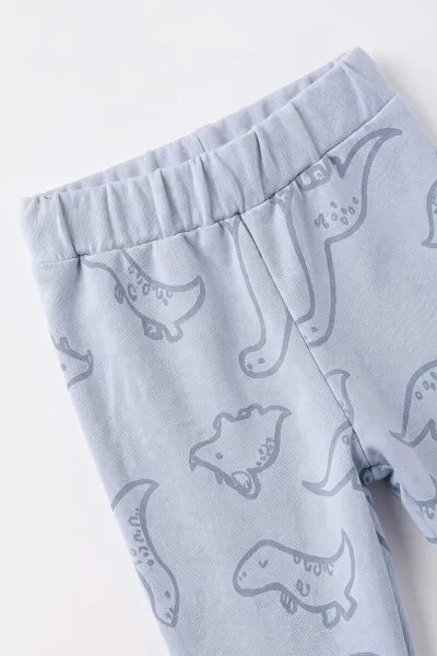 Bebe Mavisi (6-24 Ay) Dino Baskılı 2 İp Erkek Bebek 2'li Takım 499403