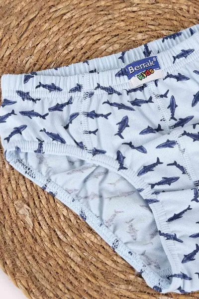 Bebe Mavisi Berrak ( 3-8 Yaş ) Baskılı Erkek Çocuk Boxer 460745