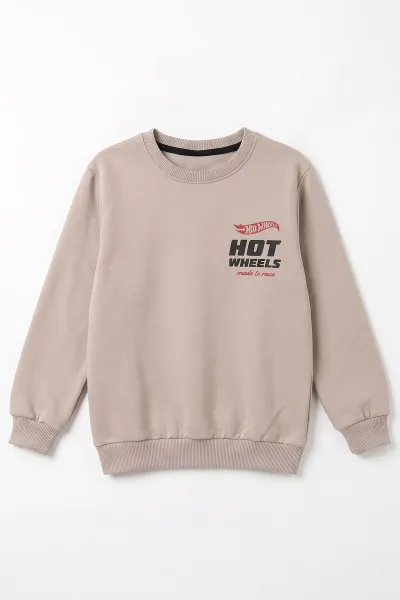 Bej (4-12 Yaş)Baskılı  2 İp Erkek Çocuk Sweatshirt 493700