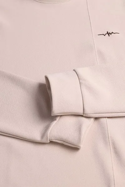 Bej Nakış Detaylı Bisiklet Yaka Erkek Sweatshirt 396256