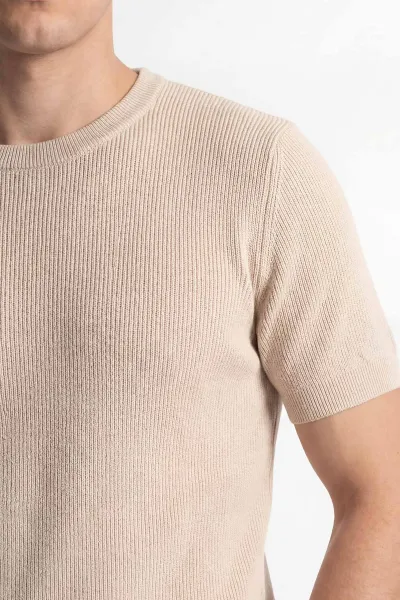 Bej Slim Fit Bisiklet Yaka Triko Erkek Tişört 449042