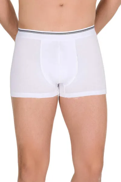 Beyaz Berrak Likralı Elastan Kumaş Erkek Boxer 370497