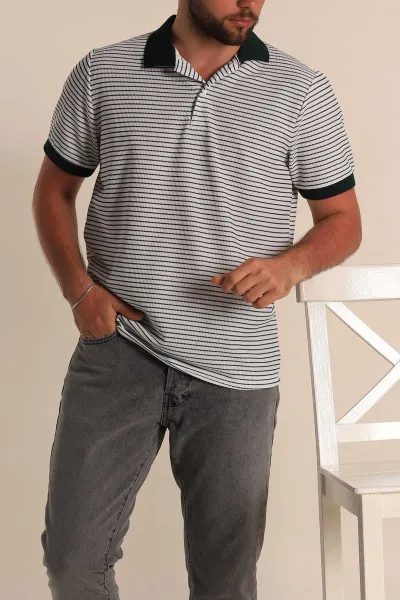beyaz-zumrut-yesili-cizgili-regular-fit-polo-yaka-erkek-tisort-277105