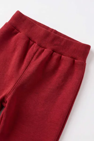Bordo (1-5  Yaş) Fiyonk Baskılı  3 İp Şardonlu Kız Çocuk Kışlık Takım 499628