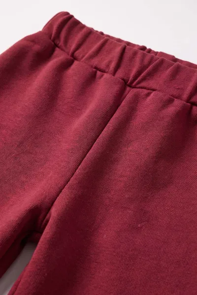 Bordo (1-5 Yaş) Kalp Nakışlı Kol Büzgü Detaylı 2 İp Kız Çocuk Mevsimlik Takım 472692