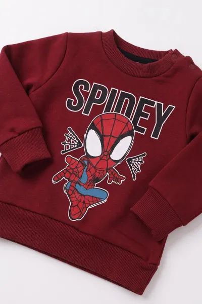 Bordo (3-24 Ay) Spidey Baskılı 3 İp Şardonlu Erkek Bebek Kışlık Takım 497117
