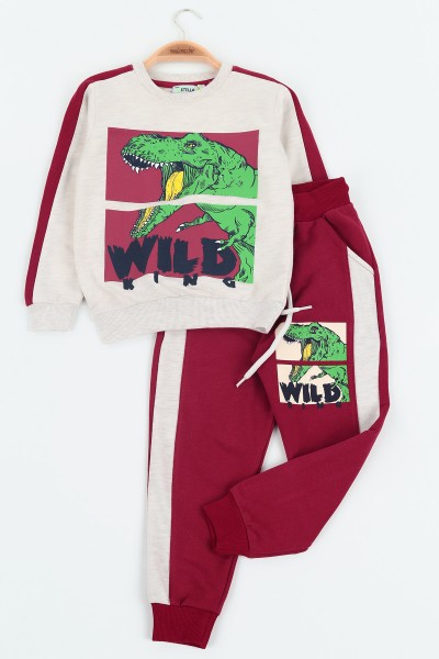bordo-4-8-yas-wild-king-dinosaur-baskili-iki-ip-erkek-cocuk-takim-137553