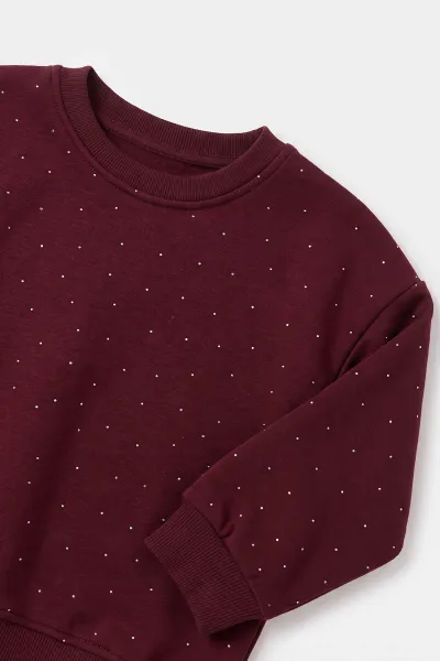 Bordo (5-10 Yaş) Serpme Taşlı 3 İp Şardonlu Kız Çocuk Kışlık Takım 498281